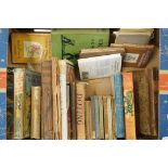 Various books including Beatrix Potter e