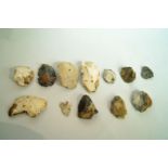 Eleven Neolithic cutters and one flint a