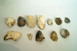 Eleven Neolithic cutters and one flint a