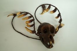 A crab eating monkey skull with boars te