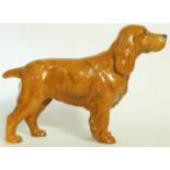 A Beswick red setter