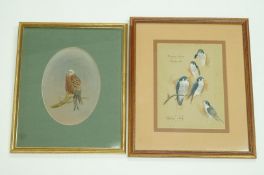 Two watercolours of birds of prey 'Pereg