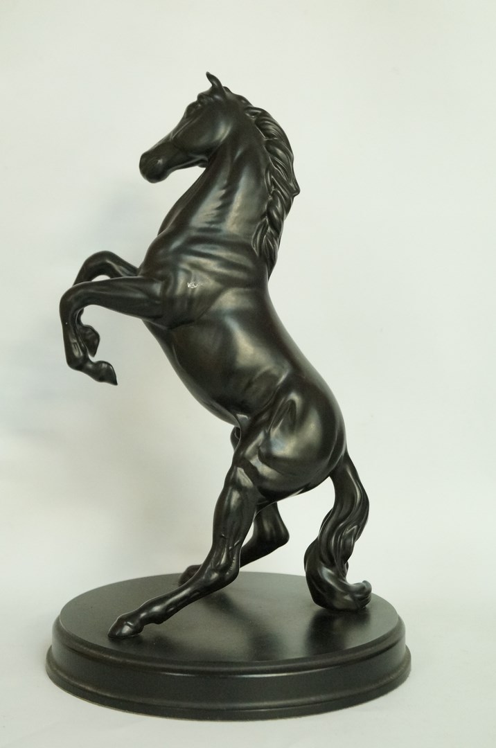 Spirit of the Wind, black horse