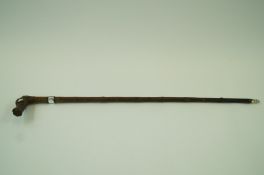 A rustic walking stick with a wide silve