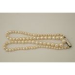 A graduated row of cultured pearls, the eighty three pearls of approximately 2.