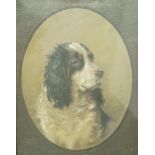 Cecil Ackland Hunt (1883 - 1959)
Portrait of a Spaniel
Pastel
Signed lower right
39cm x 90cm,