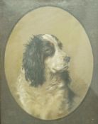 Cecil Ackland Hunt (1883 - 1959)
Portrait of a Spaniel
Pastel
Signed lower right
39cm x 90cm,