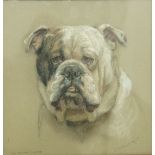 Cecil Ackland Hunt
Portrait of  British Bull Dog "Halestone Laddie"
Pastel
Titled lower left,