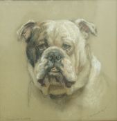 Cecil Ackland Hunt
Portrait of  British Bull Dog "Halestone Laddie"
Pastel
Titled lower left,