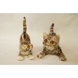 Two Winstanley cats in crouching position,