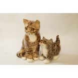 Two Winstanley tabby cats,