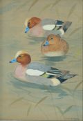 Rolston Gudgeon, RSW
Ducks
Watercolour and bodycolour
Signed lower right
34.
