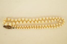 A graduated row of cultured pearls, the eighty two pearls of approximately 3-5.