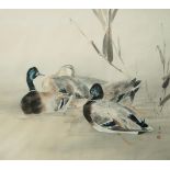 Early 20th Century Japanese school
Ducks on the water
Watercolour
Signed with seal mark lower