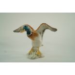 A Beswick model of a Mallard duck settling, moulded marks, 750,