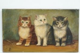 Three kittens,