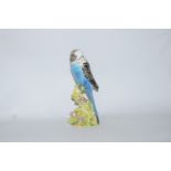 A Beswick model of a Budgerigar facing left with encrusted flowers, moulded marks, 1216, 17.