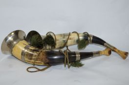 A pair of Victorian hunting horns with silver plated mounts and carved horn mouth pieces,