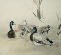 Early 20th Century Japanese school
Ducks on the water
Watercolour
Signed with seal mark lower