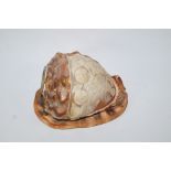 An early 20th century cameo craved shell, converted as a lamp shade, 13.