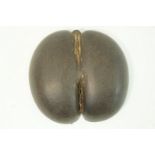 A Coco de mer nut shell