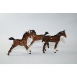 Three Beswick bay foals, each with black printed marks, Beswick,