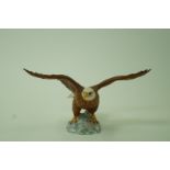 A Beswick model of a bald eagle, impressed marks "Beswick, England 1018", in a matt glaze, 14.