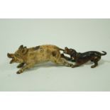 A 20th century cold painted bronze figure of a Dog pulling a pig's tail, 7.