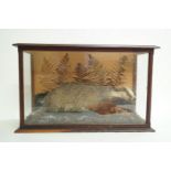 A Victorian taxidermy of a badger and a baby rabbit within a fern and moss decorated glazed case,