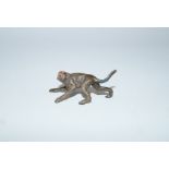 A 20th century cold painted bronze of a monkey, 3.