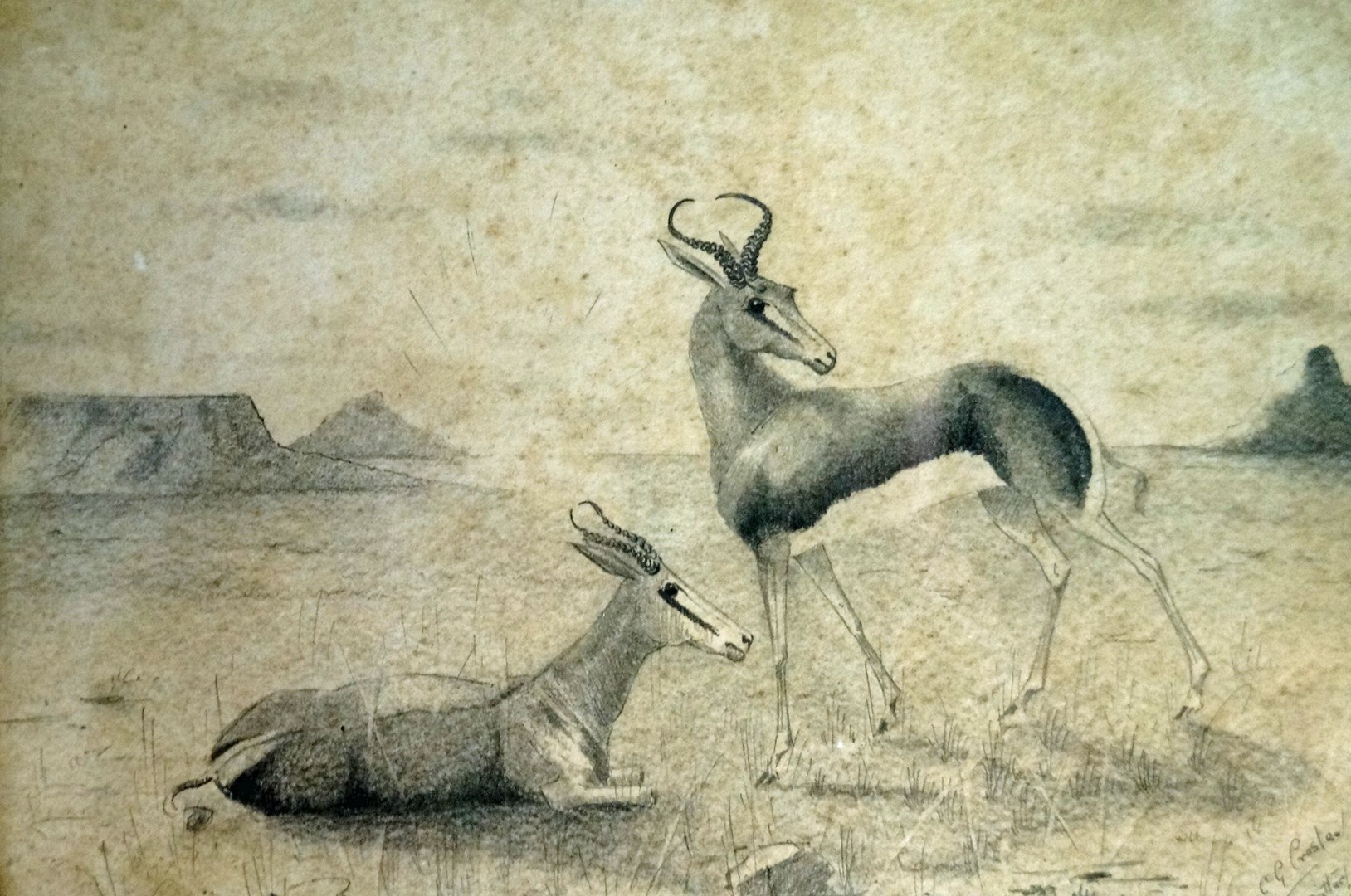 C. G. Crosley
Two antelopes in a desert landscape and A horse and jockey
Pencil, a pair
17.3cm x 24. - Image 2 of 2