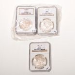 Lot of 4 Morgan Dollars.  Certificate NGC MS63  1880(S), 1881(S), 1883(O), 1886(O).