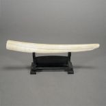 Mastodon Tusk with Stand {Length 27 1/2 inches} [Wear to end of tusk]