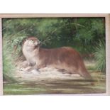 John Edwards – oil on board – Otter with fish on river bank, 11.5” x 15”