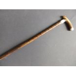 A lady's malacca walking stick with horn handle and white metal mounts