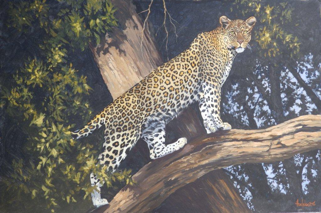 Huelsbot – oil on board – Leopard , signed & dated (19)99, 24” x 36” - unframed