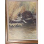 Campbell Black – oil – Otter