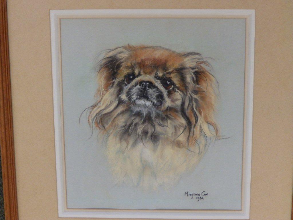 Marjorie Cox – pastel – Sukia, a Pekingese, 1961, 10.5” x 10”