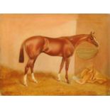 Charles Faulkner, oil painting on canvas, race horse in stable.  13.25 ins x 17.5 ins, framed,