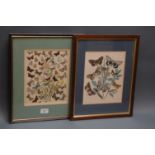 2 framed bookplates, butterflies and moths.  23 cm x 18 cm framed and mounted and 24 cm x 19 cm