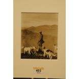 Maysons of Keswick hunt photograph, possibly the Blencathra Pack on Lakeland fell.  14 cm x 11 cm.