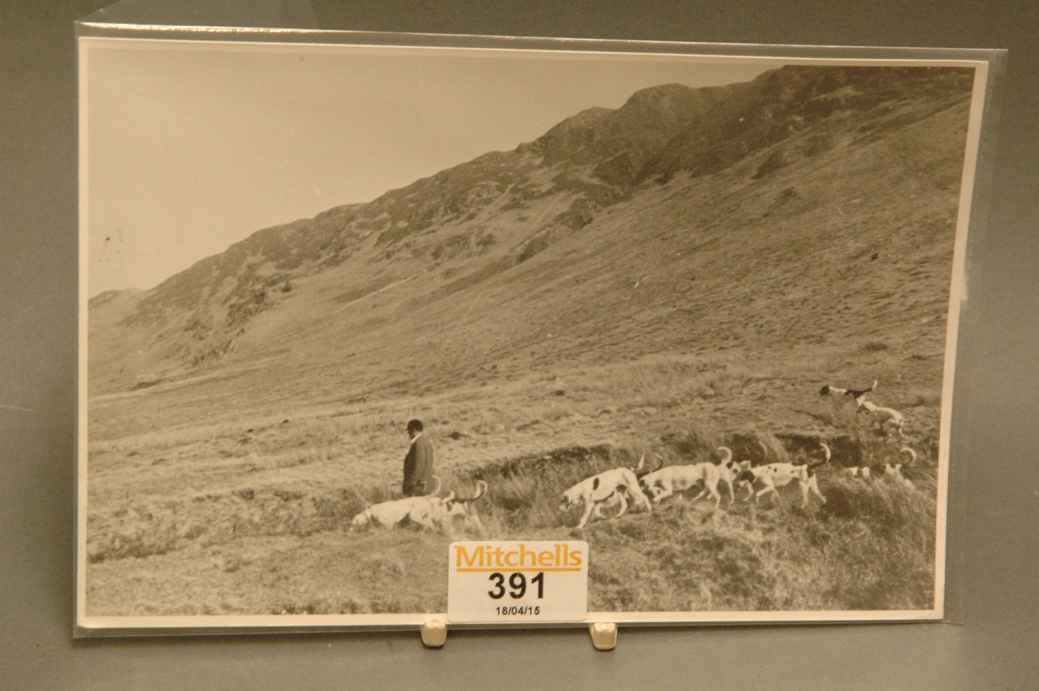 Hunt photograph depicting Johnny Richardson and the Blencathra Foxhounds. label verso "E.W. Hart,