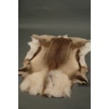 Taxidermy - Reindeer skin rug.  Length 116 cm.