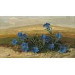 * Audrey Johnson, oil on board, "Gentians Growing in The Lake District".  16 cm x 28.6 cm, framed,