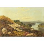 Nieman (19th century British School), oil painting on canvas, landscape with loch.