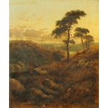 Nieman (19th century English school), oil painting on canvas, figure in wooded landscape.