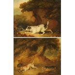 Early 19th century English School, pair of oil paintings on tin, a terrier fighting a badger and "
