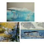 * Keith Snell, three photographs, "Arctic Wonderland", 24 cm x 35 cm, "Torrent and Tree",