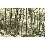 * Jenny Cowern (1943-2005), charcoal, "Bassenthwaite Trees".