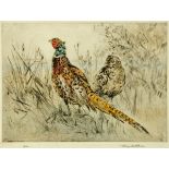 Henry Wilkinson, coloured etching, pheasants, 25/100.  26 cm x 36 cm, framed, signed in pencil.